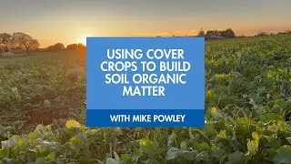 Cover crops in action with Mike Powley (Oakhouse Farm) & Richard Boldan (Agronomist, Edaphos)