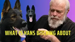 What Is Hans Bitching About
