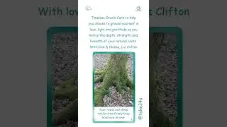 Grounding Your Daily Intuitive Tree Wisdom Guidance #shorts #wisdom #oraclecardreading #oracle #card