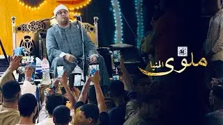 #ملوي تنتفض حباً لسماع الشيخ #محمود_الشحات  بأدائه الشهير  | فرحة عائلات ابو احمد عرفان | المنيا