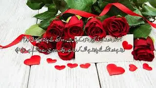 Al Quran Para 25/30 | Maher Al Muaiqly | With Urdu Translation | Verse by Verse