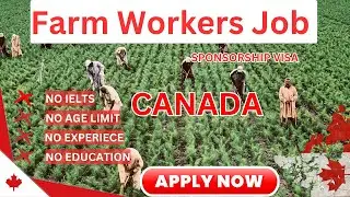 Canada farm worker 2023 jobs in canada | canada immigration | moving abroad