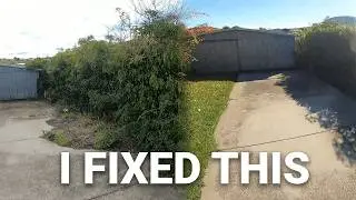 Overgrown Hobart Garden Cleared for FREE