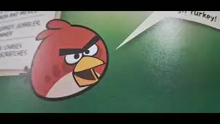 Me reading an angry birds book