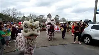 Krewe of Dead Beans 2023 Incl Mung Beans, Lucha Krewe