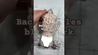 Back muscles blob work for male BJD sculpt #balljointeddolls #bjd #art #polymerclay