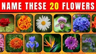 Guess The Flower | How Many Flowers Can You Name? | Flowers Quiz with Owlee w/ A Mystery Prize!!!