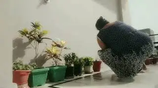 Cleaning Vlog ❤️How to do my baramda deep cleaning ll अपने बरामदे की डीप क्लीनिंग कैसे करती हूं मैं