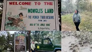 Pench Tiger Reserve | Tiger Tracing |Wild Life| Staying in Middle Of The JUNGLE |LOL Vlog