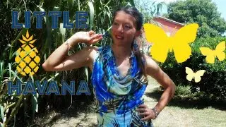 Little Havana (Instrumental) - Music by John Dips