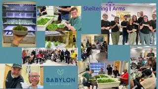 Sheltering Arms Volunteer Day