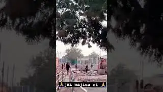 new majisa special status/majisa ka darbar/ jasol dham/majisa/jasol /2021 /new status video