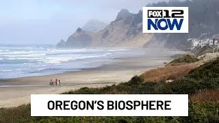 Protecting the Cascade Head Biosphere & what makes it so important