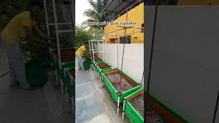 Preparing soil to grow vegetables 🪴
