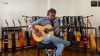 2019 Jose Gonzalez Lopez Flamenco Negra SP/IR: demo by Jose Antonio Rodriguez