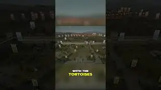 Epic Defense Fail  Tortoises Breach the Walls! Unexpected Strategy