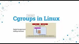 Cgroups in Linux | Hierarchy | Implementation | Operating System Concepts | AADITYA HEMANT