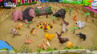 Big Lion & Buffalo Stuck in Mud with Safari Animals - Kid's Learning Safari Episode