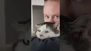 This Cat Was Left Behind When His Owner Moved Away