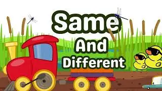 Learn About Same & Different| Toddler Learning| KiddyReals| For Toddlers