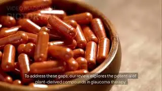 Natural Bioactives in the Management of Glaucoma: A Recent Update