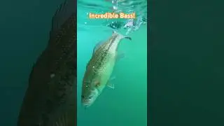 Shut Your Bass Hole! #shortsvideo #fishing #shortvideo #shorts #short  #bassfishing #sandhollow