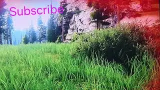 Bad Day On Ark