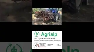 FORCA DOPPIA
