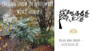 Falling Snow in November, relax and enjoy  - Walking with Z. Zeahorse