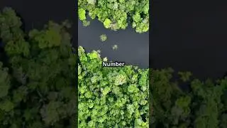 Top 5 Unique Ecosystems on Earth! 🌍 #UniqueEcosystems #Top5 #NatureWonders #facts #top