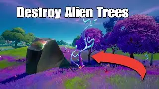 Where To Destroy Alien Trees
