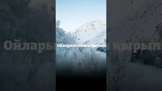 Апош сарбаз - Катонқарағай ❤️