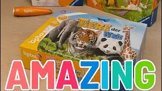 Tiere der Welt mit tiptoi 🐼🌍 &ndash; Entdecke, lerne, staune!