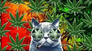 Royalty Free Reggae Music