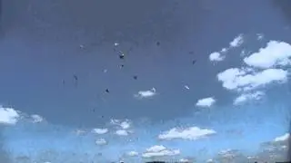 Flite Fest 2015 combat [raw]