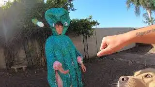 Halloween Special Dog Training BASICS | Pawfessor GO & Dogtor Ken | Maple Part 1/4