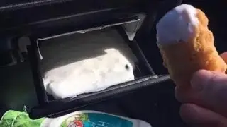 Teraforming with my brudda Alex (timelapse)