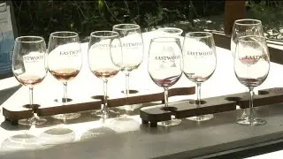 New Charlottesville facility aims to reduce the costs of independent wine making