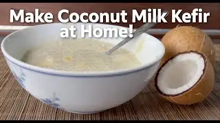 How to Make Coconut Milk Kefir at Home 🥥 | Dairy-Free Probiotic Recipe with Kefir Grains!