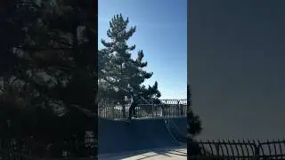 Dave Bachinsky unique mini ramp combo!