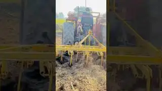 New short with tractor Mf 260#tractor#reels#shorts#photography #farming @khanpurivloger47