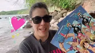 🌊 Comparemos álbumes de ONE PIECE Panini, pasta dura y pasta blanda