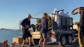 Dampier Archipelago Marine Debris Project