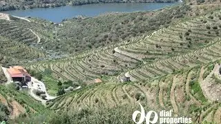Farm for sale in Torre de Moncorvo - Dial-Properties 3281