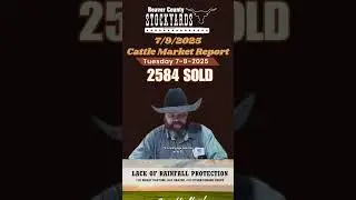 7/9/25 Market Report! #salebarn #beavercountystockyards #stockyards #beaveroklahoma #marketreport