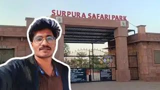 Visiting Jodhpur's Surpura Dam 