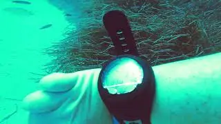 Scuba Diving with Dive Buddies, Cala Es Forti Mallorca September 2023
