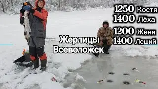 Ваши ставки господа? Всеволожск Южный Ждановское 