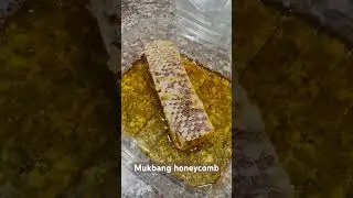 Mukbang honeycomb #mukbang #honey  #honeycomb #sweets #fresh #tastetest #delicious #yummy #bees #wow