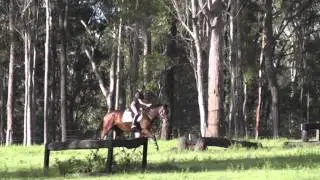 Gemma - First time cross country training(4th time jumping)